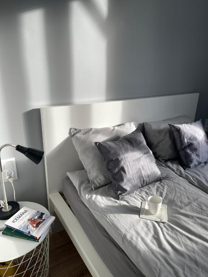 דירות קטוביץ Przestronny Apartament 5 Min Od Centrum Katowic. מראה חיצוני תמונה